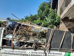 Best Hoarding Cleanup  in Dodge City, KS